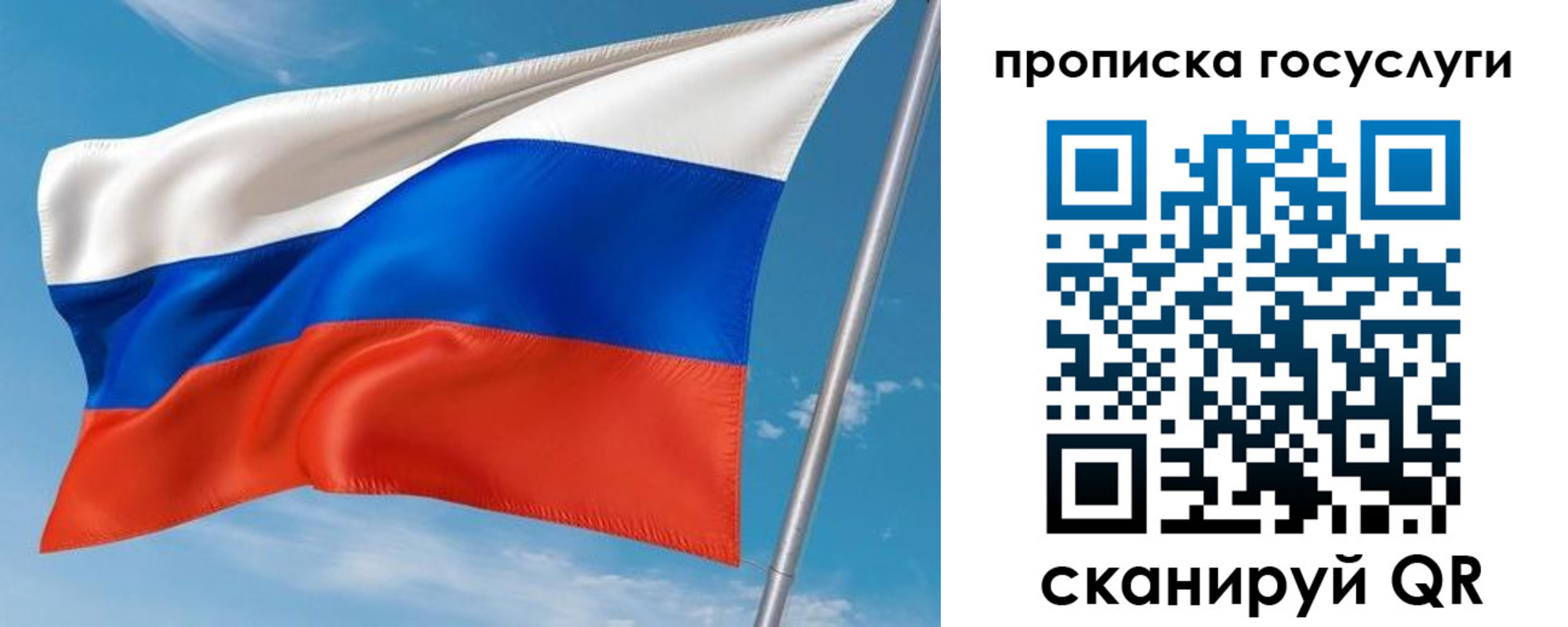 прописка в Североморске